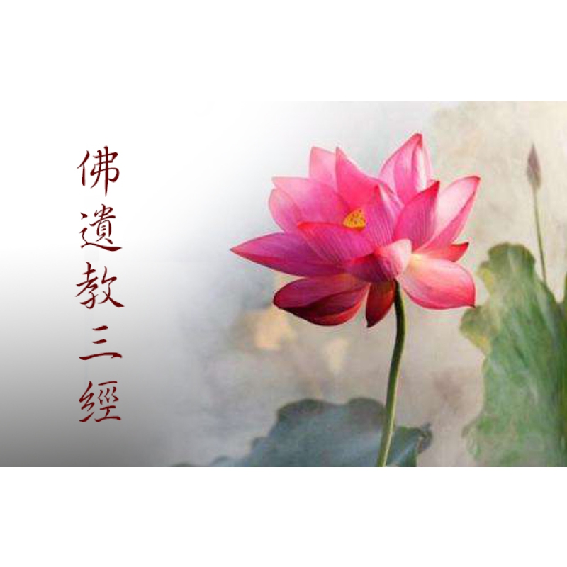 佛遺教三經》 - 佛教法音傳播中心