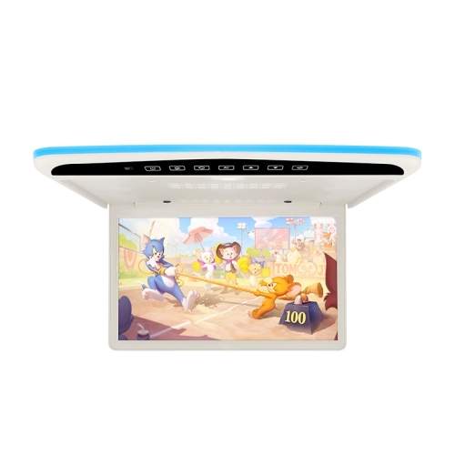 15.6 inch Car Roof Multimedia Monitor（SF-1565）