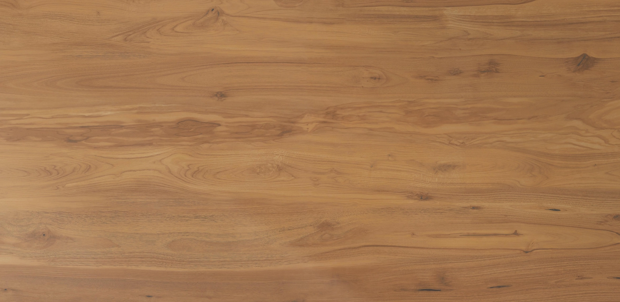 Sintered Stone HQA3047 Kusunoki For Interior & Exterior