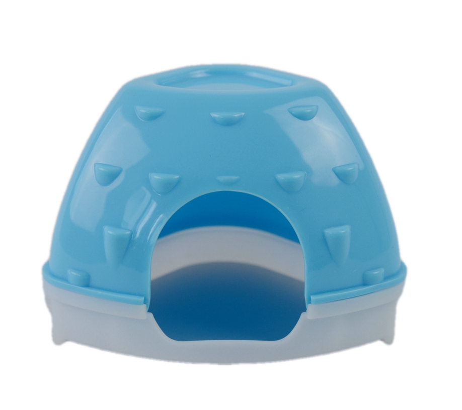 Hamster toys & accessories