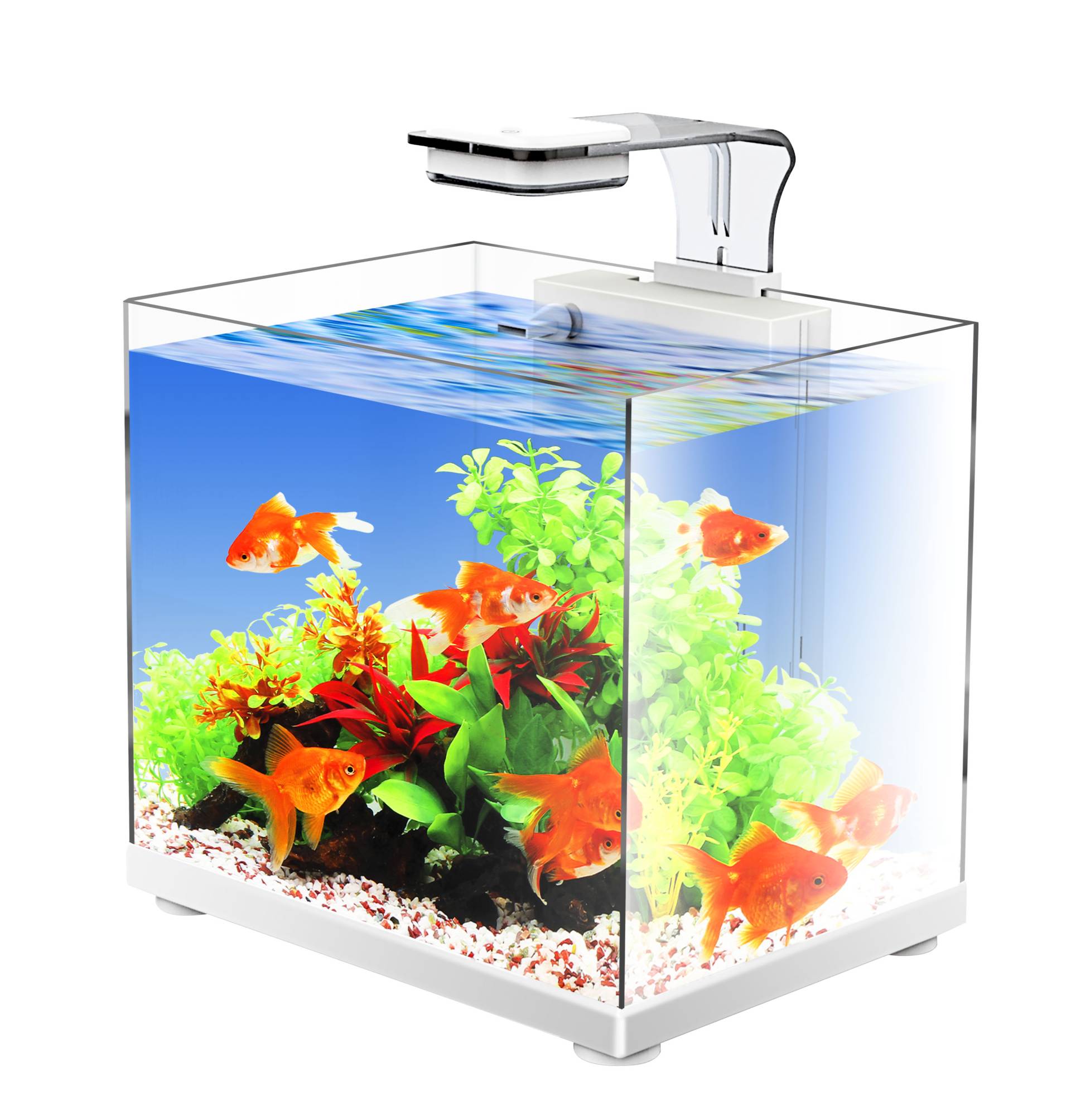Fish tanks