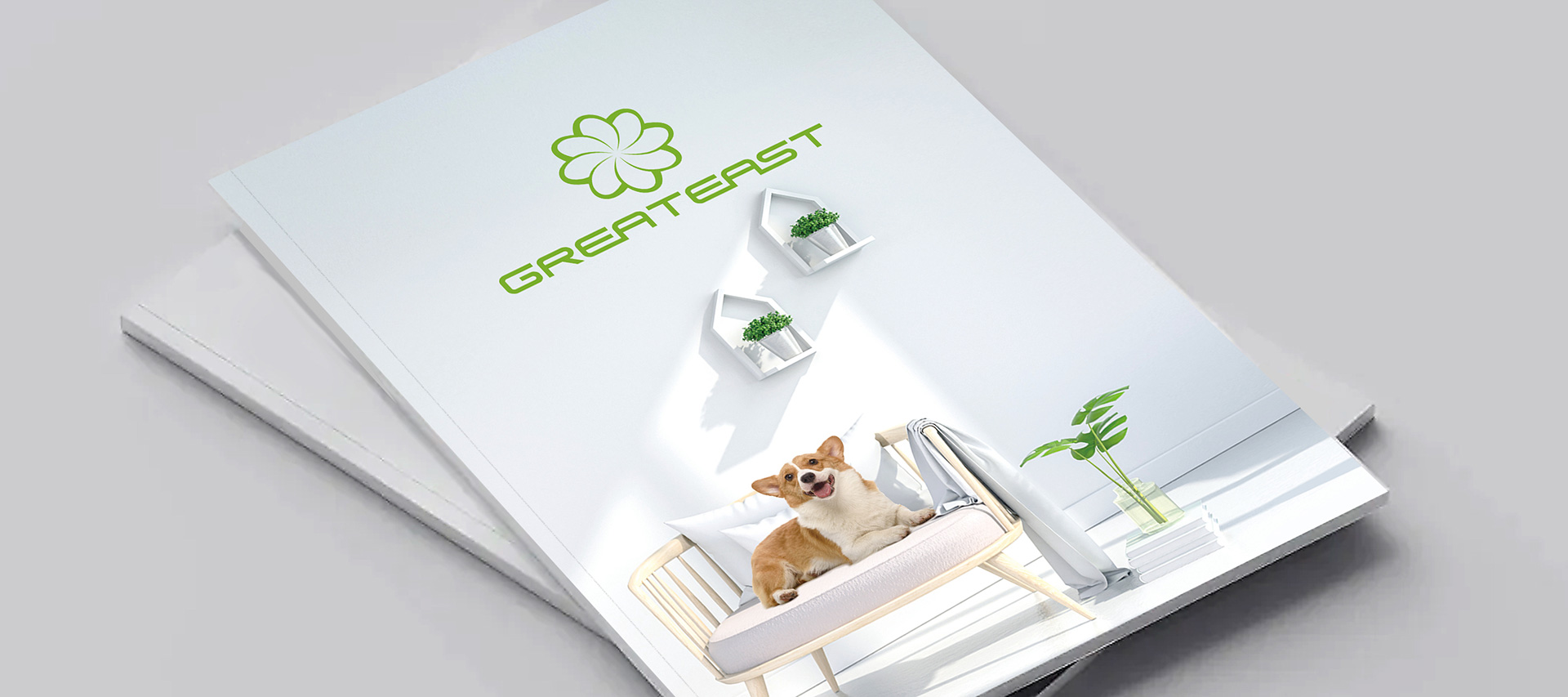 Catalogues For Aquarium Products