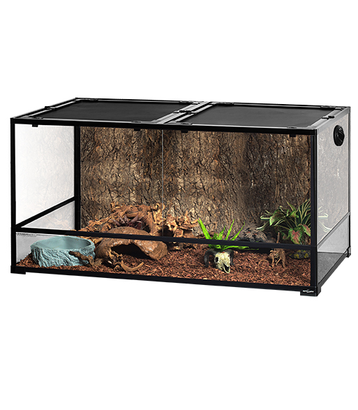 Reptile tank