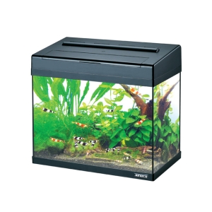 Rectangle Small Fish Tank Glass Aquarium With Top Filter And LED Lighting