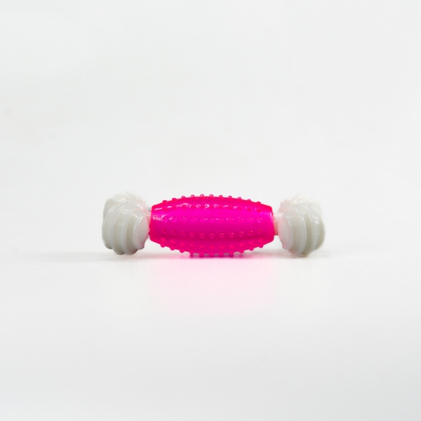 لعبة التسنين للكلاب لعبة بلاستيكية شائعة للحيوانات الأليفة