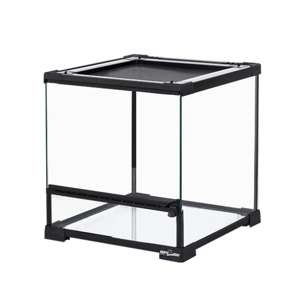 Reptile Glass Terrarium Ecological Landscape Horned Spider Guarding Palace Lizard Tortoise Glass Tank