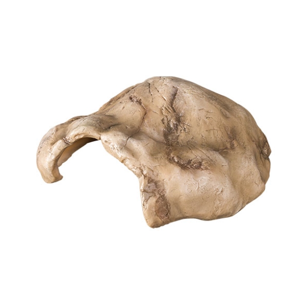 Resin Birch Shelter for Reptiles Simulation Hollow Wood Hiding House for Lizard Gecko Snake Creeper Nest Landscape Decoration