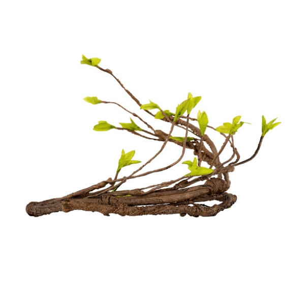 Reptile Artificial Plants Terrarium Plants Decorations Supplies Amphibian Habitat Hideout Tank Accessories