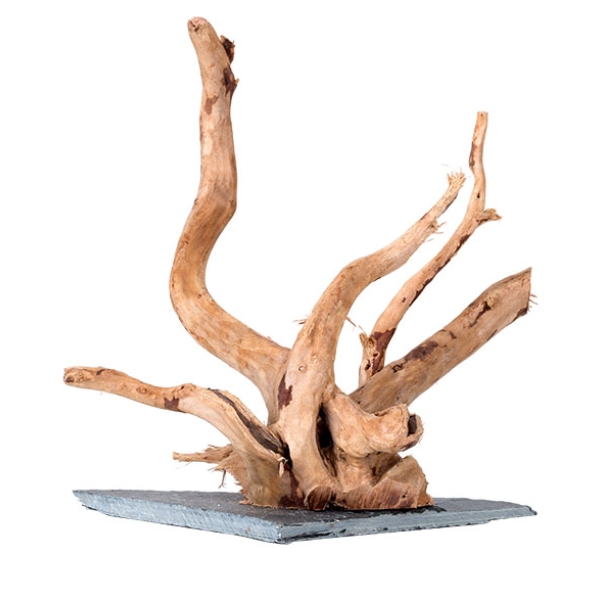 Reptile Artificial Plants Terrarium Plants Decorations Supplies Amphibian Habitat Hideout Tank Accessories