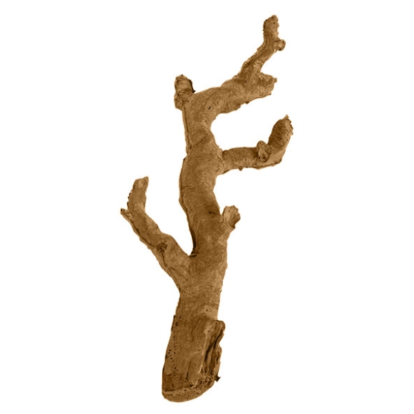 Reptile Artificial Plants Terrarium Plants Decorations Supplies Amphibian Habitat Hideout Tank Accessories