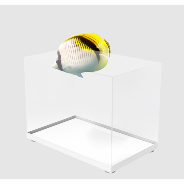 ATMAN Small Fish Tank Ultra White Clear Glass Smart Aquarium With Back Filter System And LED Light