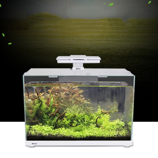 ATMAN Small Fish Tank Ultra White Clear Glass Smart Aquarium With Back Filter System And LED Light