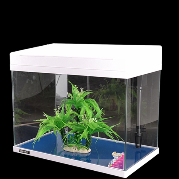 Rectangle Small Fish Tank Glass Aquarium With Top Filter And LED Lighting