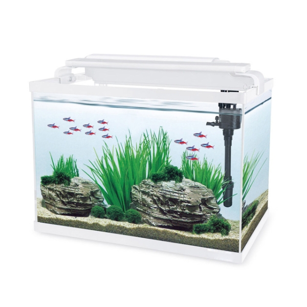 Transparent Household Decorative Ecological Grass Tank Desktop Fish Aquarium Tank