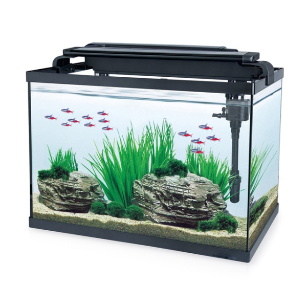 Transparent Household Decorative Ecological Grass Tank Desktop Fish Aquarium Tank