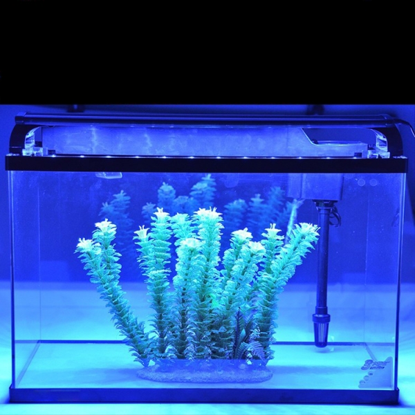 Transparent Household Decorative Ecological Grass Tank Desktop Fish Aquarium Tank