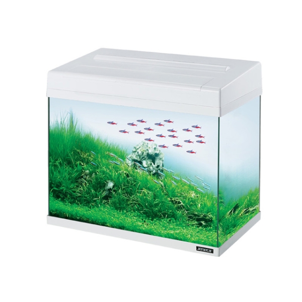 Rectangle Small Fish Tank Glass Aquarium With Top Filter And LED Lighting