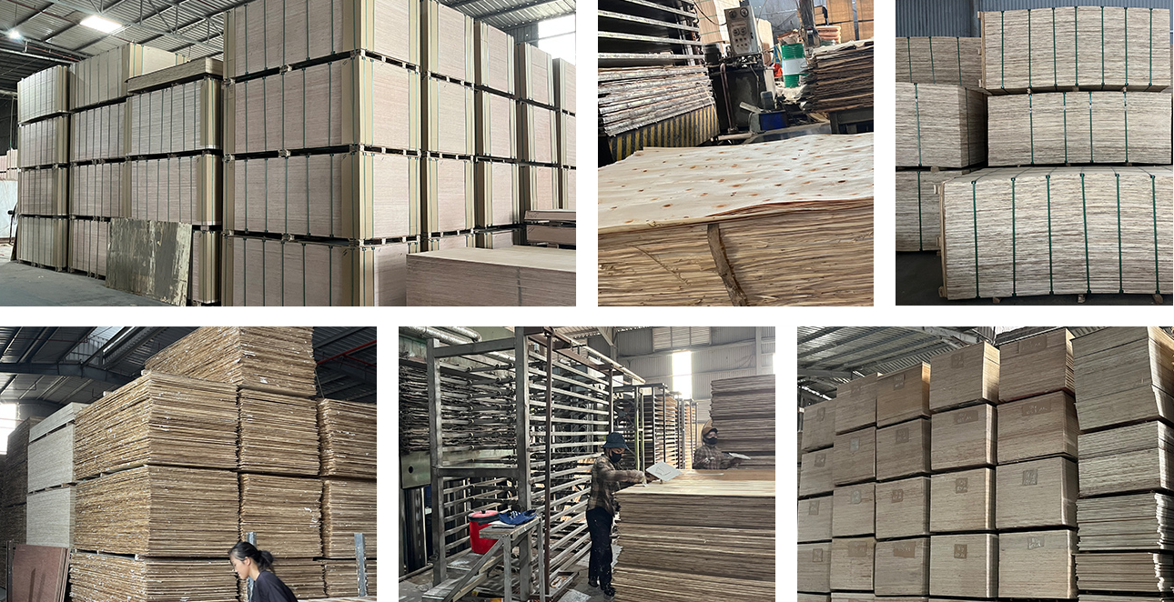 ZNSJ Packing Plywood