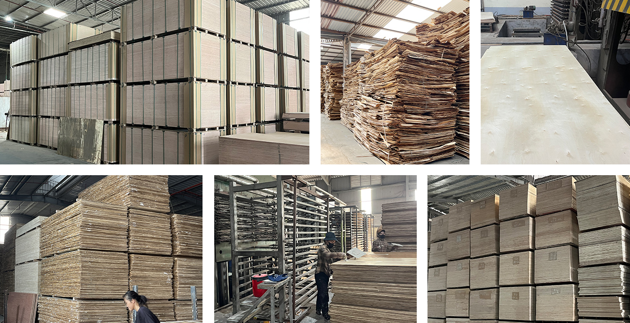ZNSJ Birch Plywood