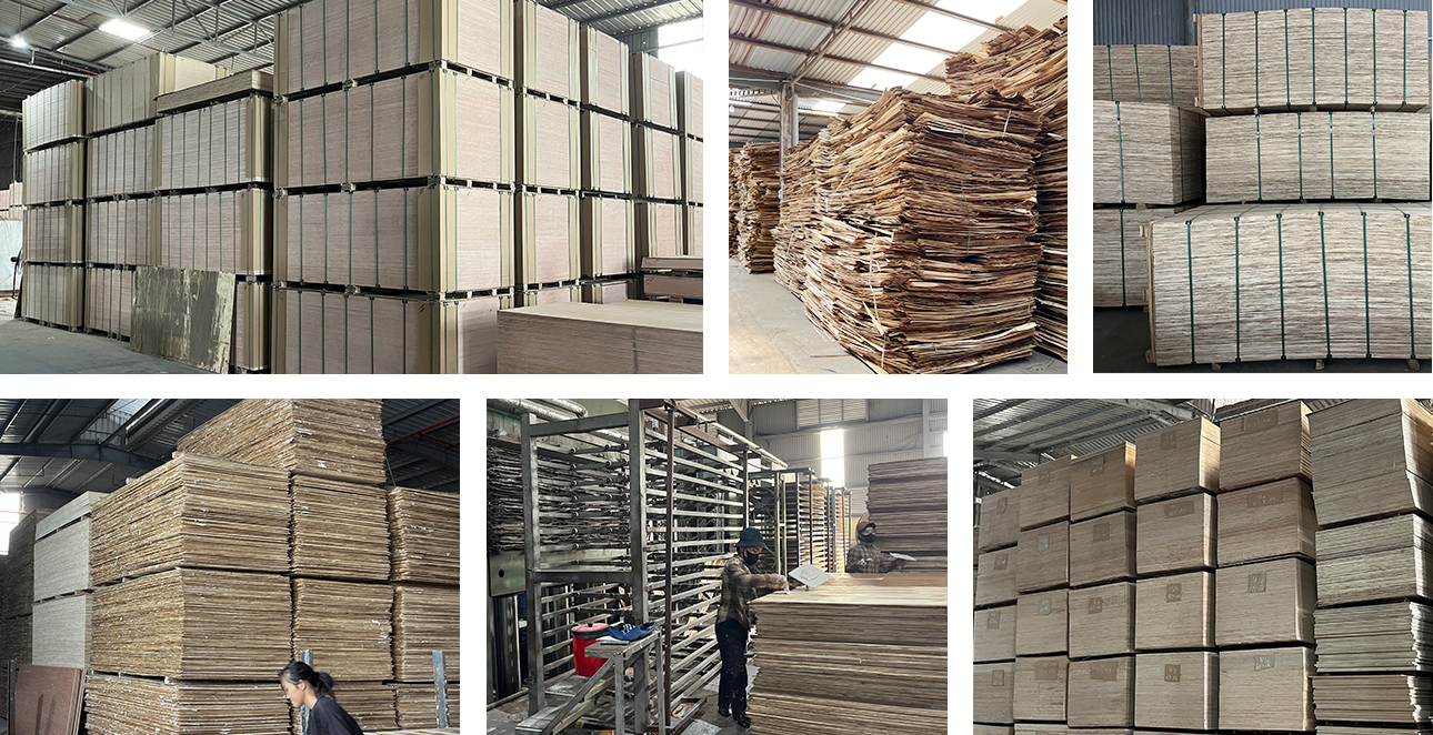 Commercial Plywood MLH - Bintangor